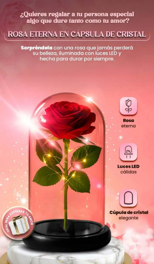 ROSA ETERNA EN CÁPSULA DE CRISTAL